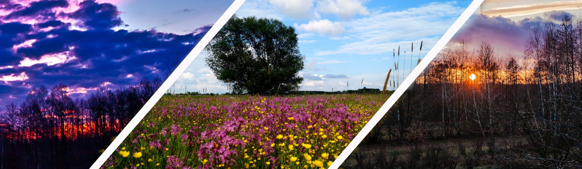 Cyfrowa Gmina Michów